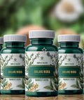 Nutritional Counseling – Holistic Health Consultation